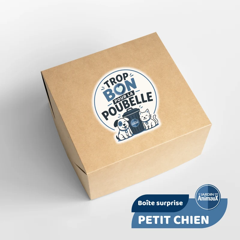 Trop bon pour la poubelle - Petit chien