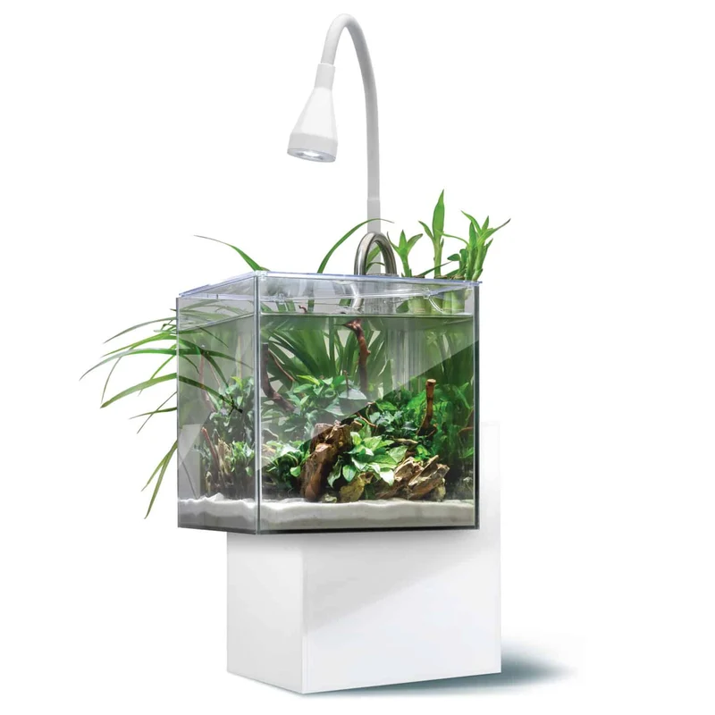 Aquarium équipé Fluval Kühl pour l’aménagement miniature et aquaponie, 8 L (2,1 gal US), blanc