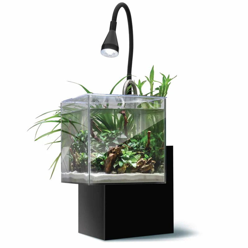 Aquarium équipé Fluval Kühl pour l’aménagement miniature et aquaponie, 8 L (2,1 gal US), noir