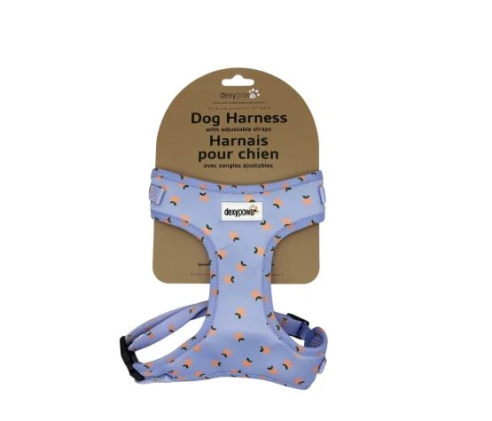 Dexypaws Harnais En Néoprène Pour Chien, Bleu Ciel à Motifs De Mandarines
