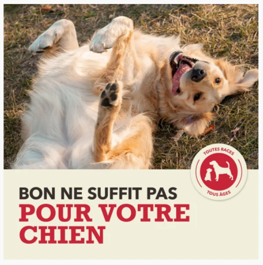 ACANA Chien Viande rouge Haut en Protéines