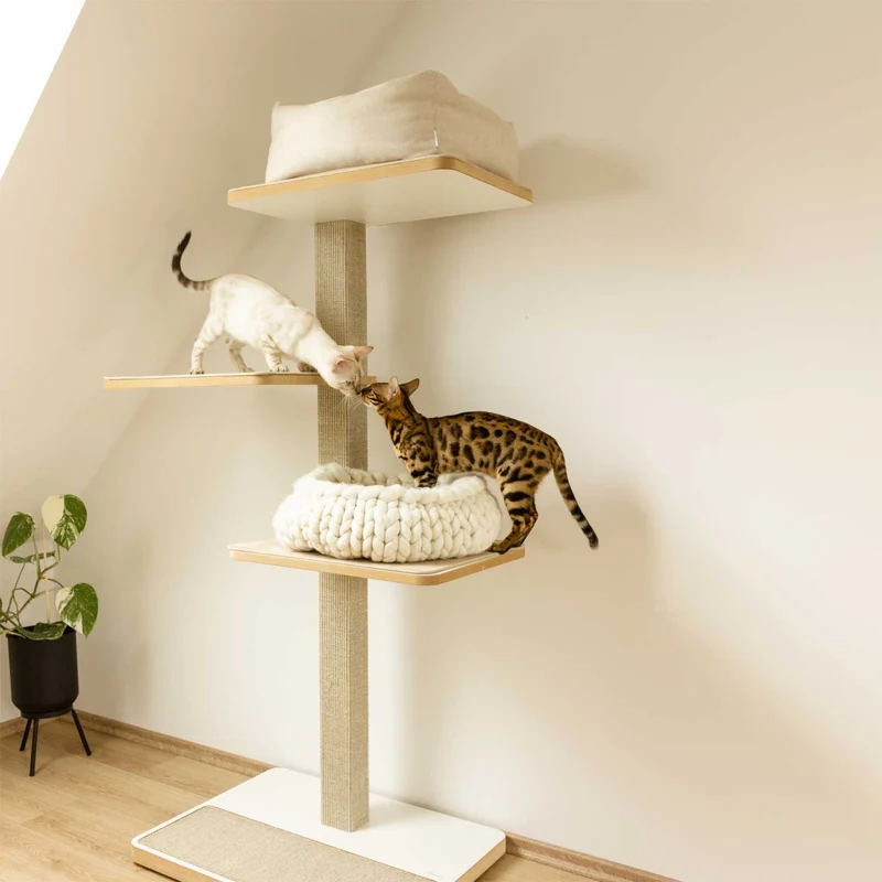 Kratzbaum Clu 3 Liegeflächen