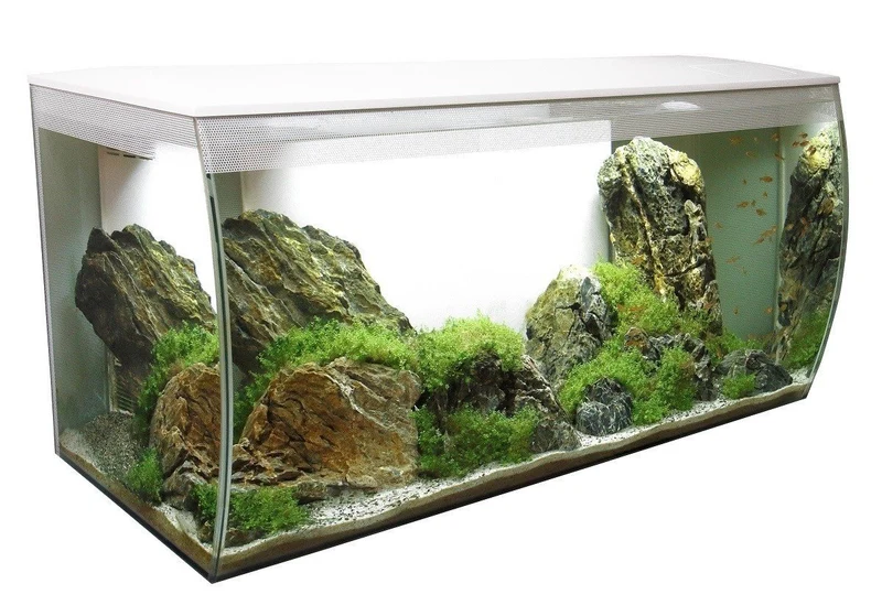 Aquarium équipé FLEX Fluval, blanc, 123 L (32,5 gal US)