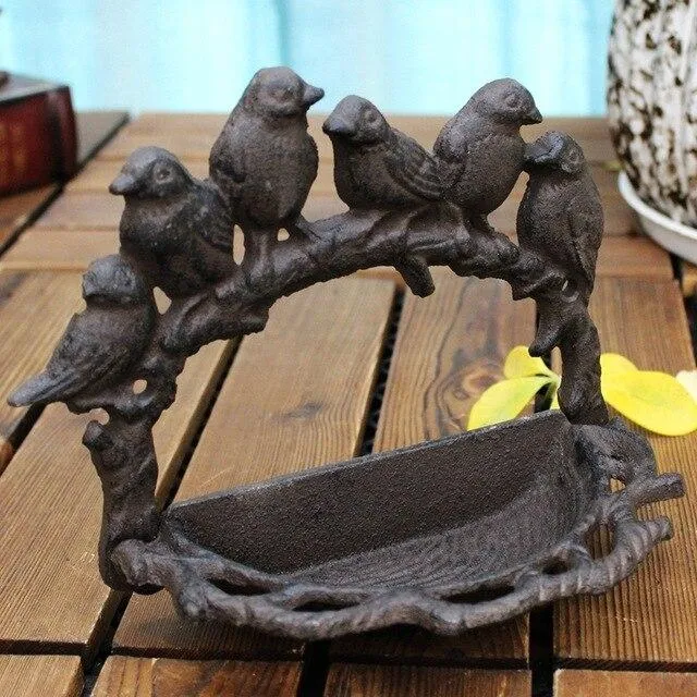 Bain oiseaux