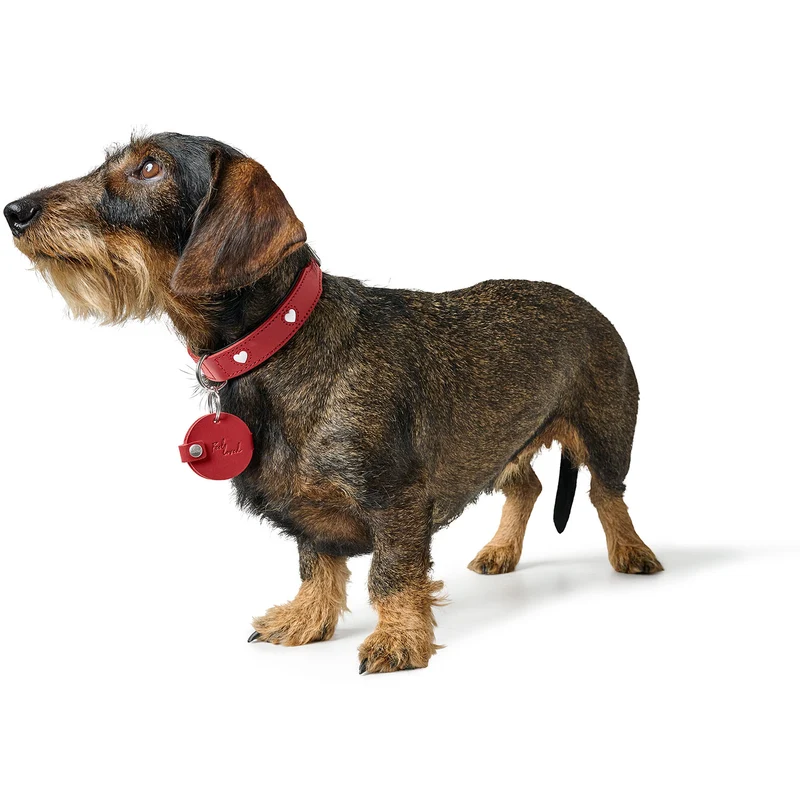 Anhänger Hundemarken-Etui Love