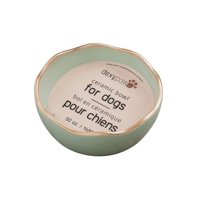 Dexypaws Bol en céramique pour chien 50 oz - Vert sauge