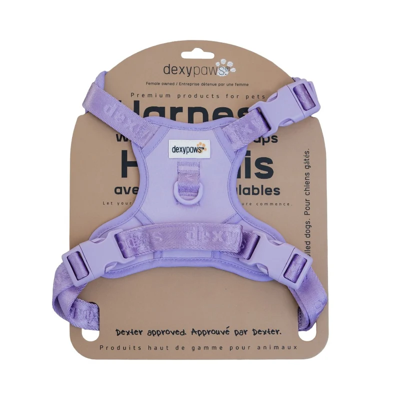 Dexypaws Harnais sans traction pour chien - Lilas