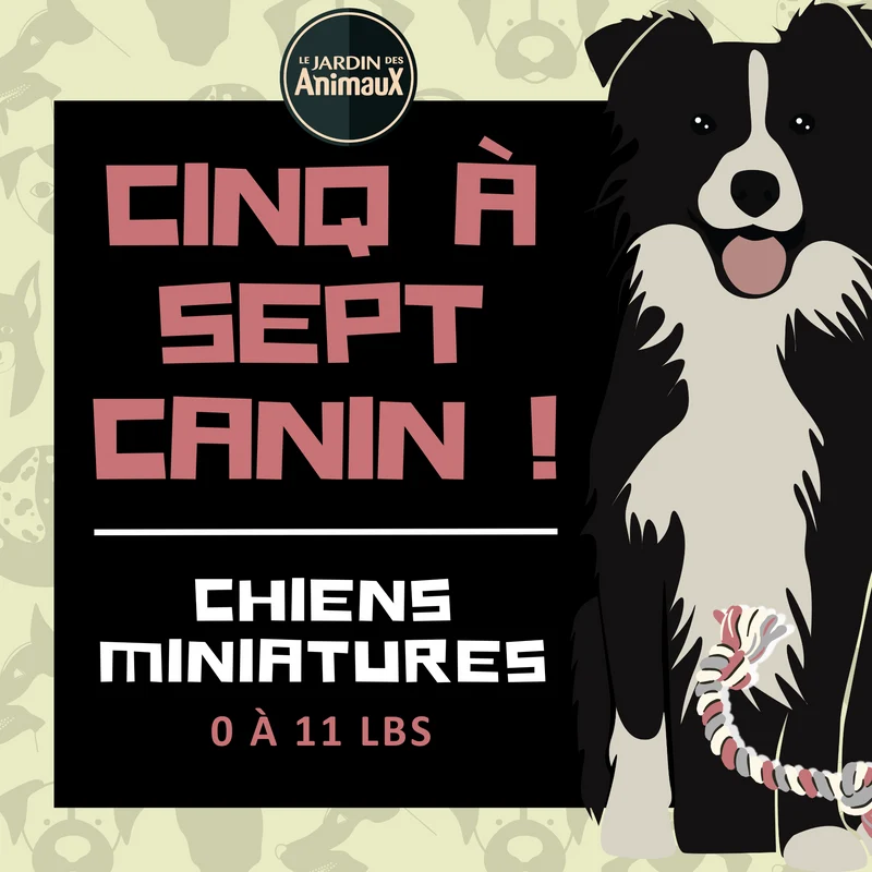 5 à 7 - Frais d'inscription à un regroupement par tailles de chien