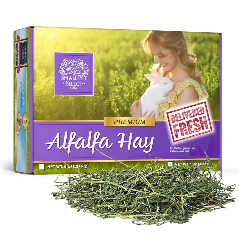 Small Pet Select Foin d’Alfalfa pour Petits Animaux – Jeunes, Gestants et Plus | Boîte de 5 livres