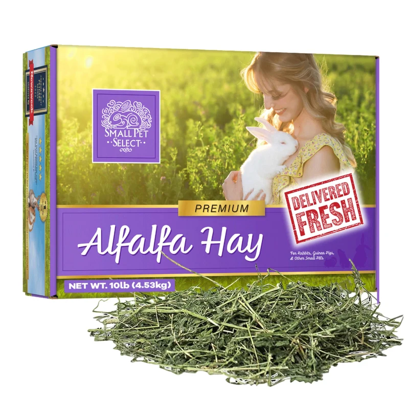 Small Pet Select Foin d’Alfalfa – Pour Jeunes Petits Animaux, Boîte Facile à Stocker 10 lb