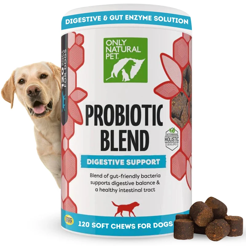 Only Natural Pet Probiotique pour Chiens et Chats — Gommes Molles Digestives au Bacon, Soutien Intestinal, 120 Gommes