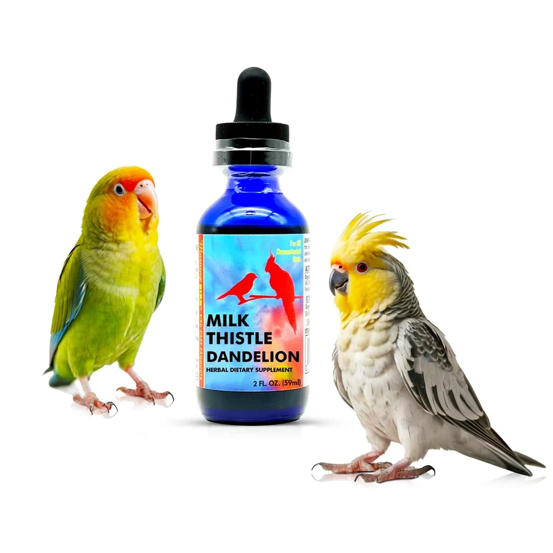 Morning Bird Extrait Chardon et Pissenlit – 2 oz | Supplément biologique pour oiseaux, soutien foie et detox naturel
