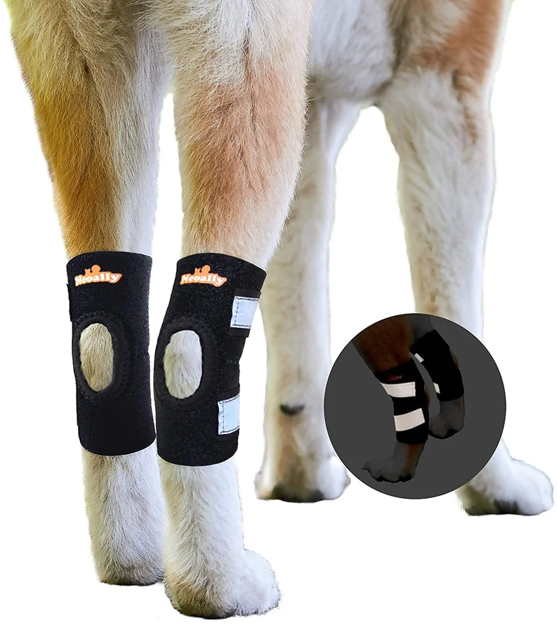 NeoAlly Attelles de Jarret Arrière – Paire pour Chien et Chat, Sangles Réfléchissantes et Néoprène Doux