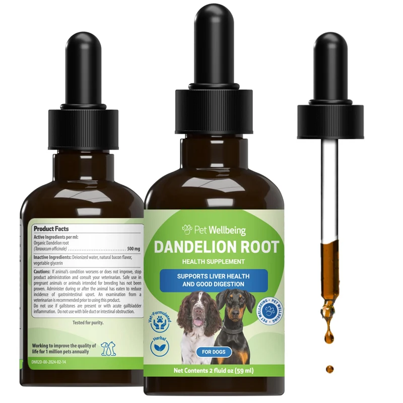 Pet Wellbeing Dandelion Root pour chiens — soutien foie, digestion et glycémie | Formulé par des vétérinaires