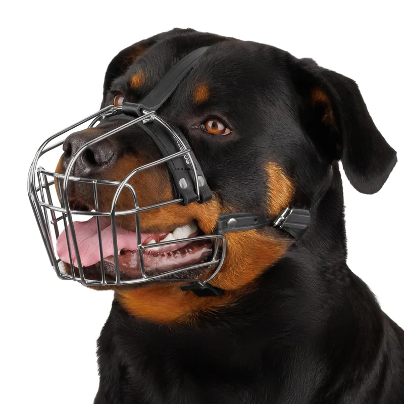 BRONZEDOG Museau pour Grand Chien – Muzzle métallique réglable, confort et sécurité