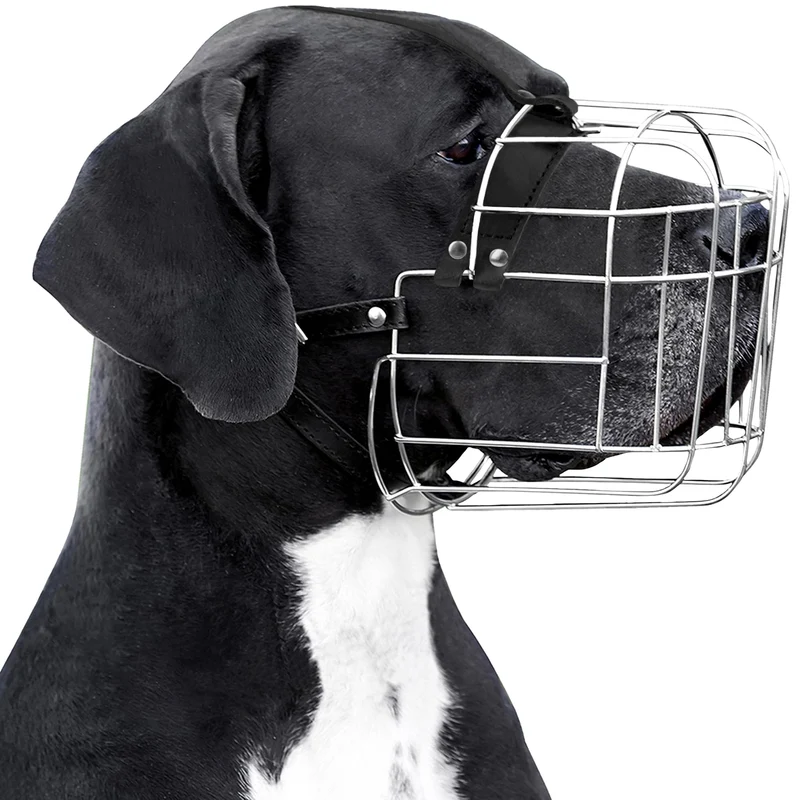 BRONZEDOG Muselière ajustable grande taille – Panier métallique, Sangles en cuir, Respirante (Grand Danois)