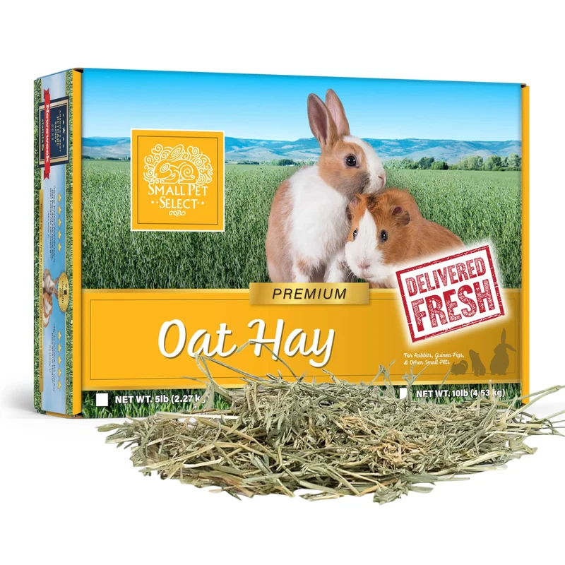 Small Pet Select Foin d'Avoine – Nourriture pour Petits Mammifères, 5 lb