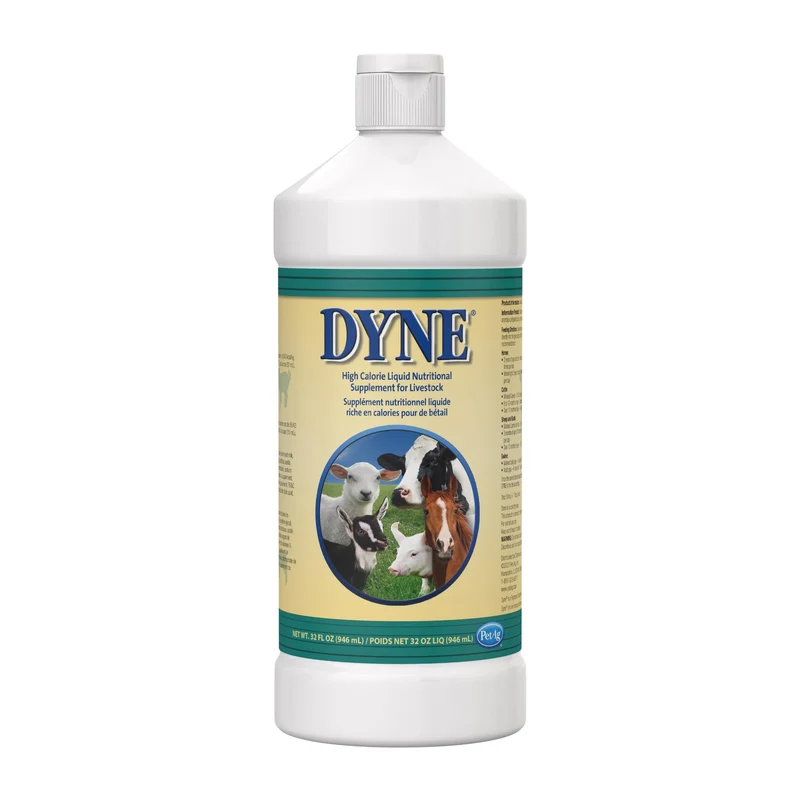 PetAg Dyne – Supplément liquide haute calorie pour bétail (32 oz) avec vitamines ajoutées
