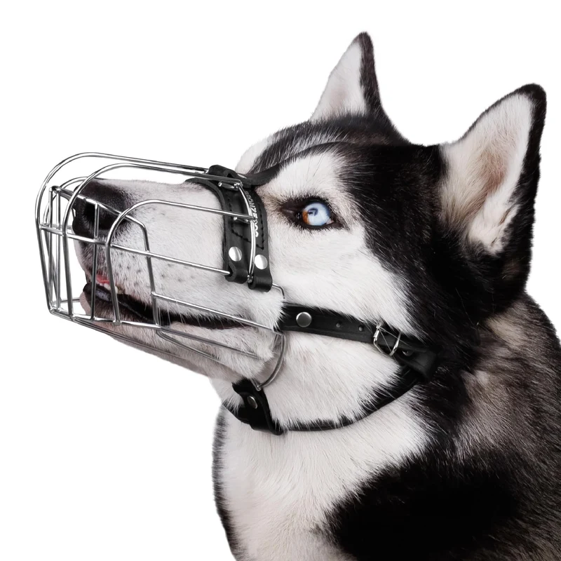 BRONZEDOG Museau pour chiens – Cage métallique réglable pour grands chiens en cuir et inox