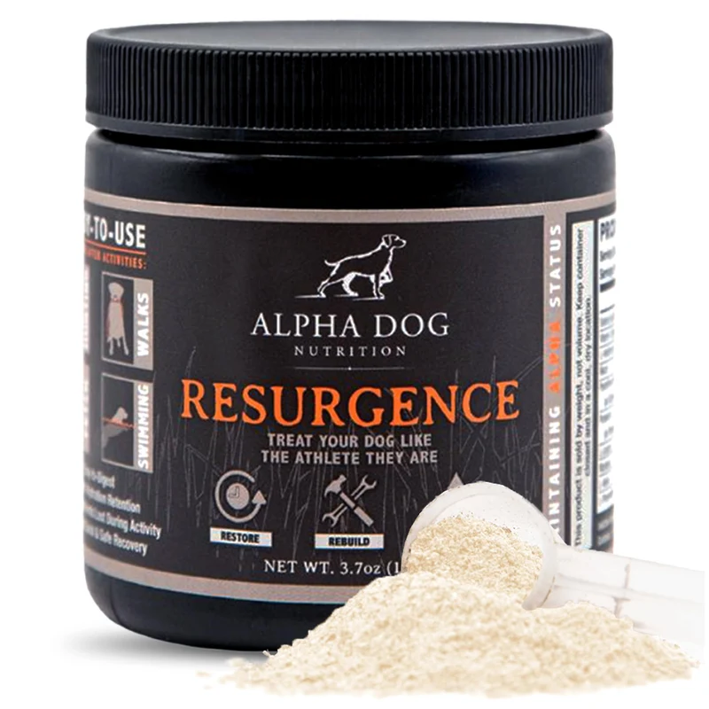 Alpha Dog Nutrition Électrolytes pour Chiens — Hydratation PhD avec Saveur Boeuf pour Chiens Actifs