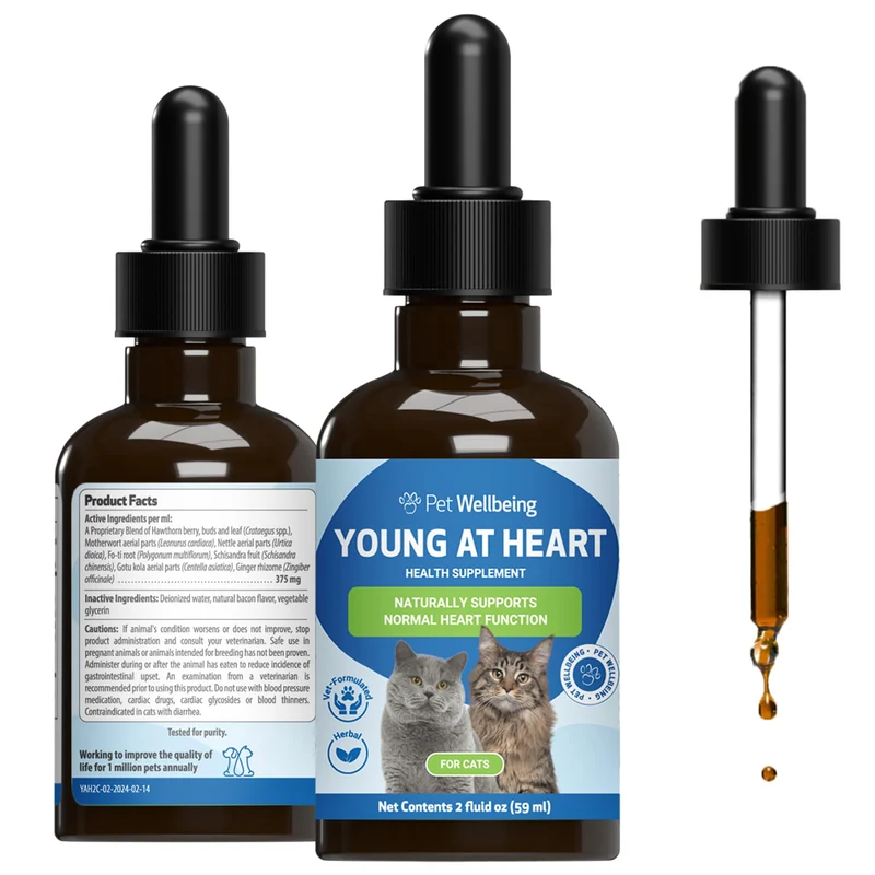 Pet Wellbeing Jeune au Cœur pour Chats – Soin Cardiaque Senior Félin, Bien-être Cardiovasculaire avec Aubépine et Mèrewort – NASC Certifié & Formulé par des Vétérinaires – Liquide 60 ml