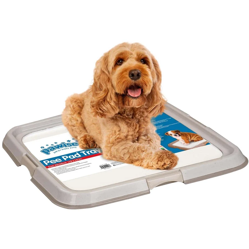 PAWISE Tapis-pipi pour chien – Plateau d’apprentissage 23,5 x 23,5 pouces