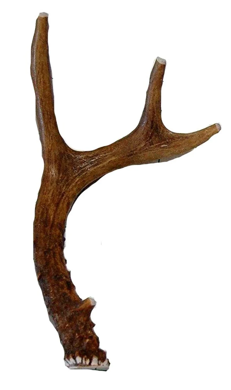 Friandise en corne de cerf entière pour chiens petits et moyens – Big Dog Antler Chews