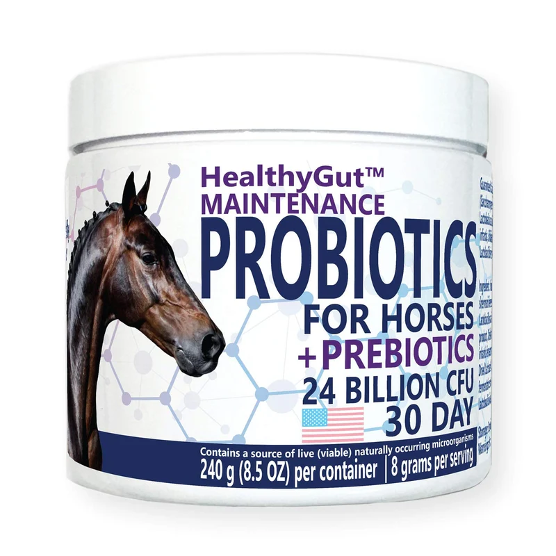 Equa Holistics HealthyGut Probiotiques pour Chevaux — Soin Digestif Naturel (30 jours)