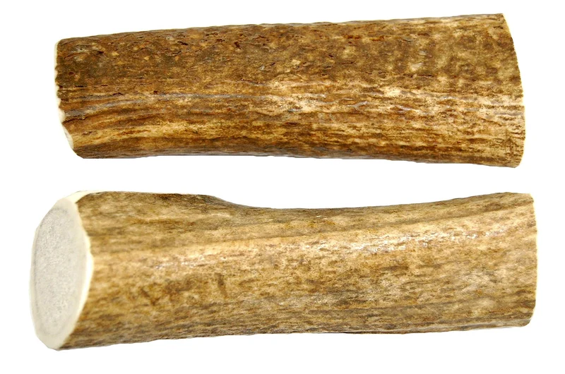 Big Dog Antler Chews – Paquet de 2 Os d'Élan Extra-Larges (6–10 pouces) pour Chiens Moyens et Grands