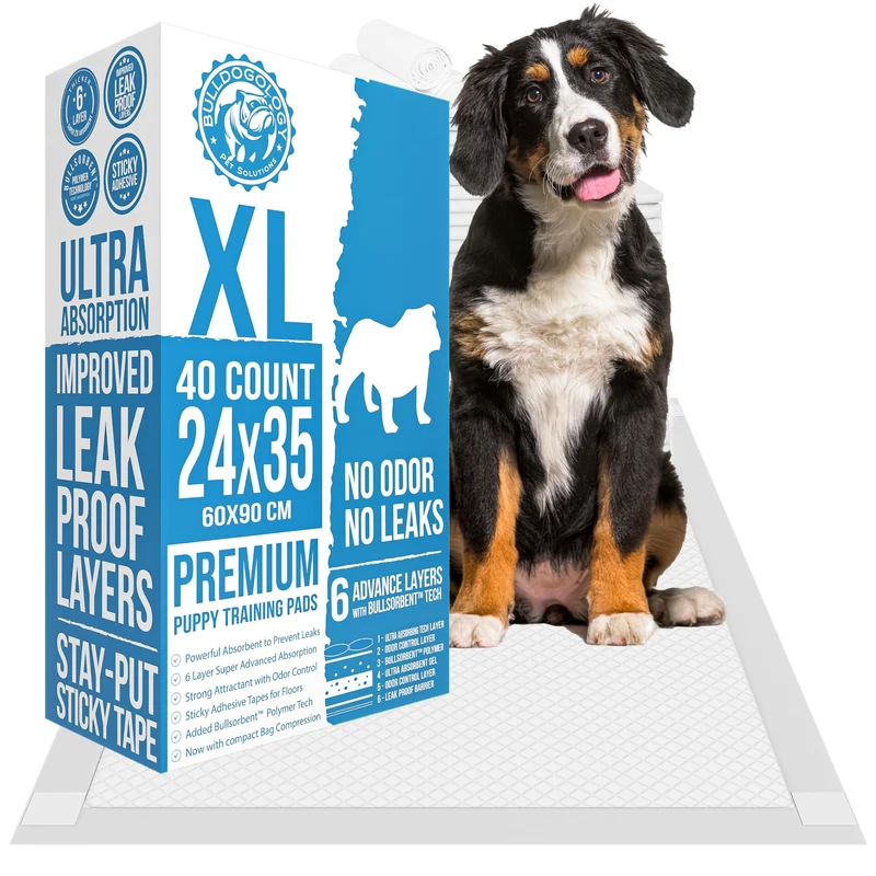 Bulldogology Couches d'entraînement XL pour chiens 24x35 – 40 unités, 6 couches, Bullsorbent