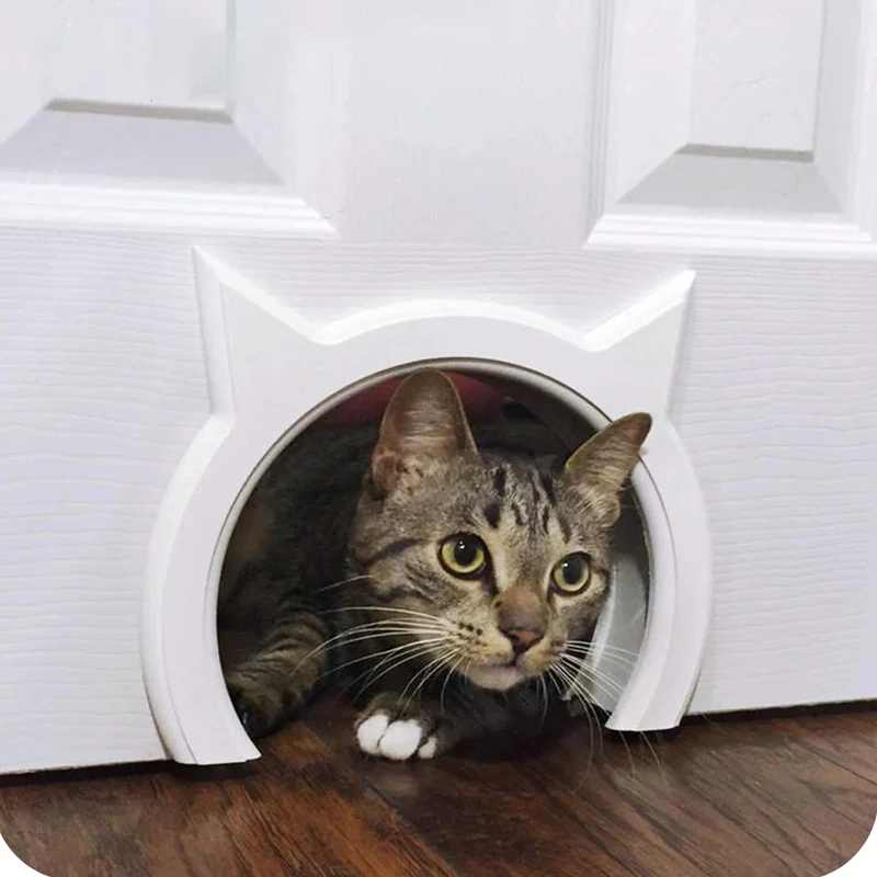 The Kitty Pass – Porte intérieure pour chat et litière cachée (jusqu’à 21 livres)
