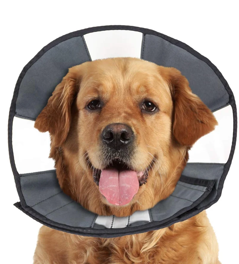 ZenPet Cône de récupération pour chiens et chats – Confort doux, ajustable et sûr (X-Large)
