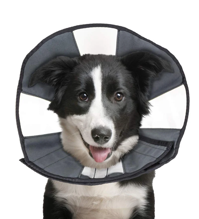 ZenPet Collier de Récupération – Doux et Ajustable (Grand) pour Chiens et Chats