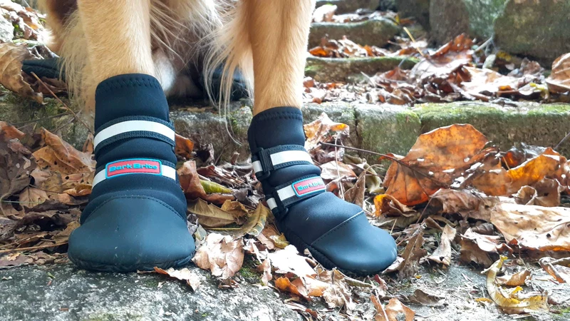 Bottes de patte Bark Brite – Néoprène tout temps, sangles réfléchissantes, 5 tailles, noir XL