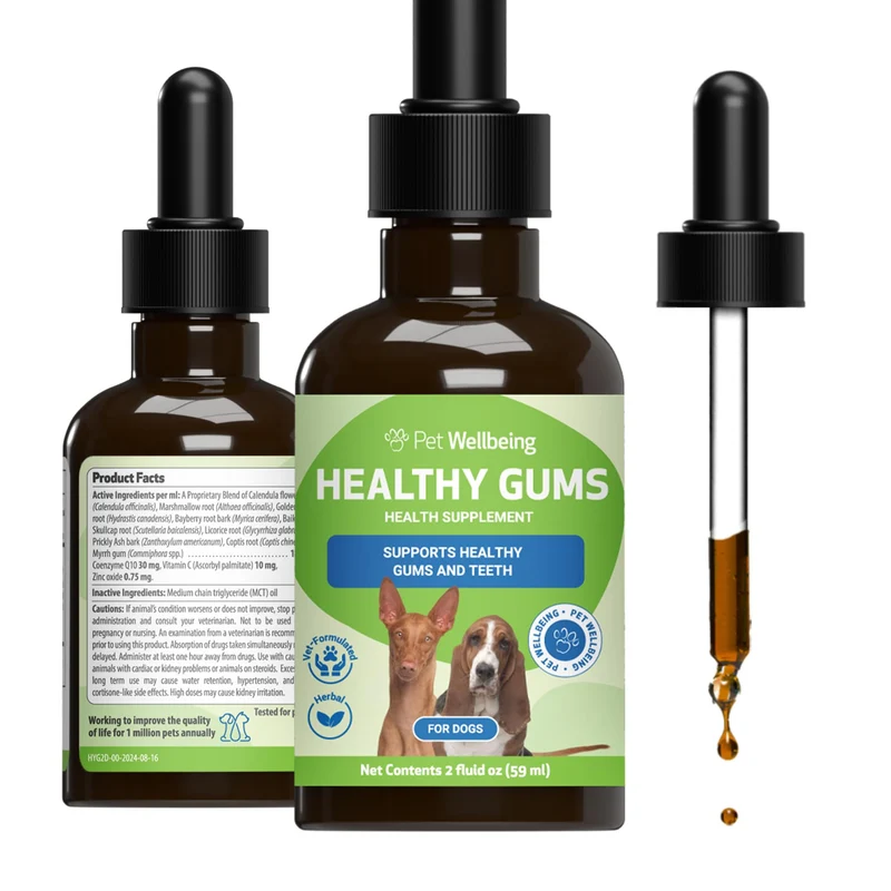 Pet Wellbeing – Gencives Saines pour Chiens – Complément Naturel pour Gencives, Dents et Haleine – 2 oz (59 ml)
