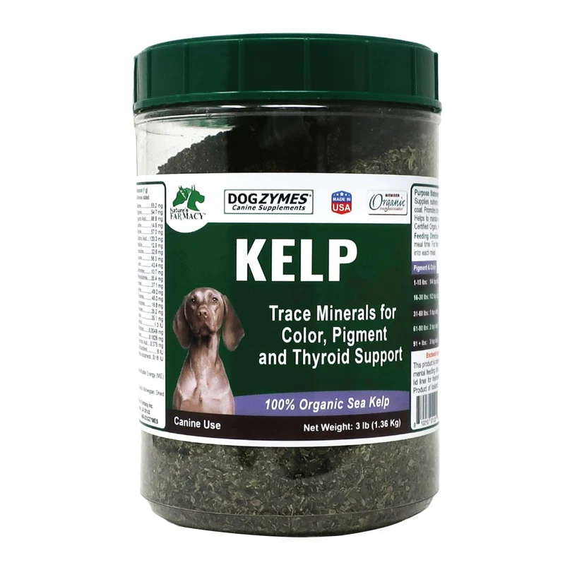Dogzymes Algue Norvégienne Biologique pour Animaux – Source naturelle d'iode pour soutenir les glandes, thyroïde (3 livres, environ 1,36 kg)