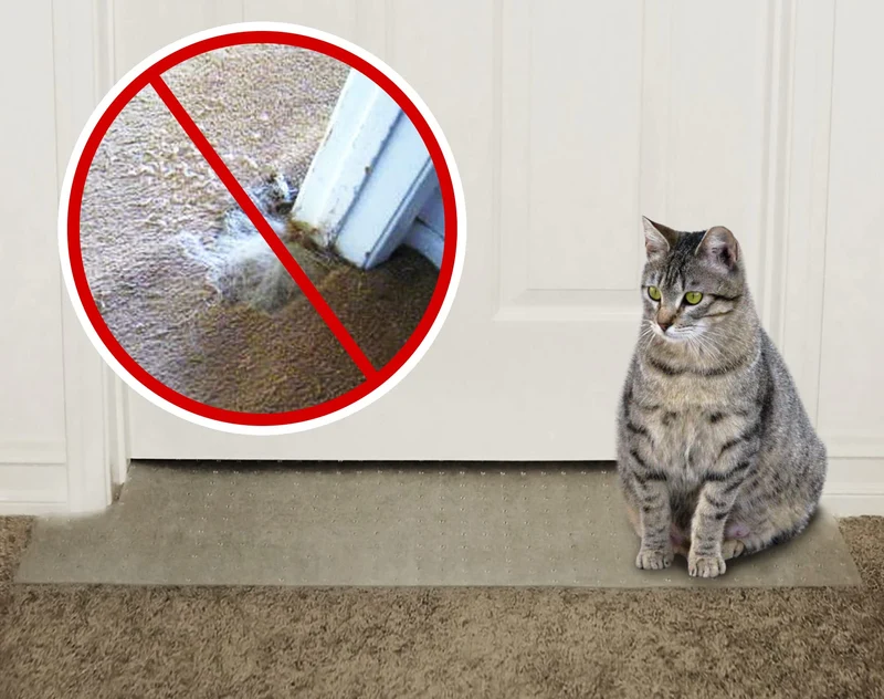 KittySmart Arrête-Griffures Tapis – Barrière anti-griffures prête à poser, Garantie 5 ans