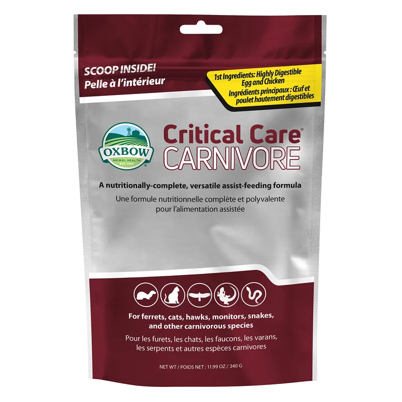 Oxbow Soin Critique Carnivore – Nutrition de récupération pour chats et furets (340 g)