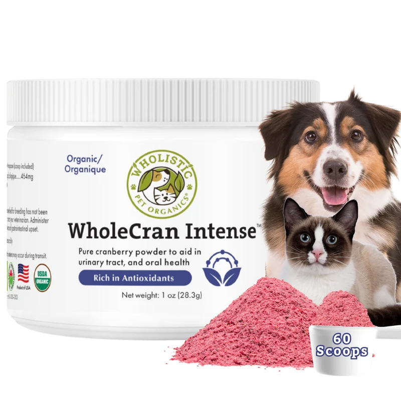 Wholistic Pet Organics Canneberge pour chiens et chats – Supplément biologique de canneberge pour contrôle urinaire, soutien rénal et incontinence – Voie urinaire saine – 60 dosettes