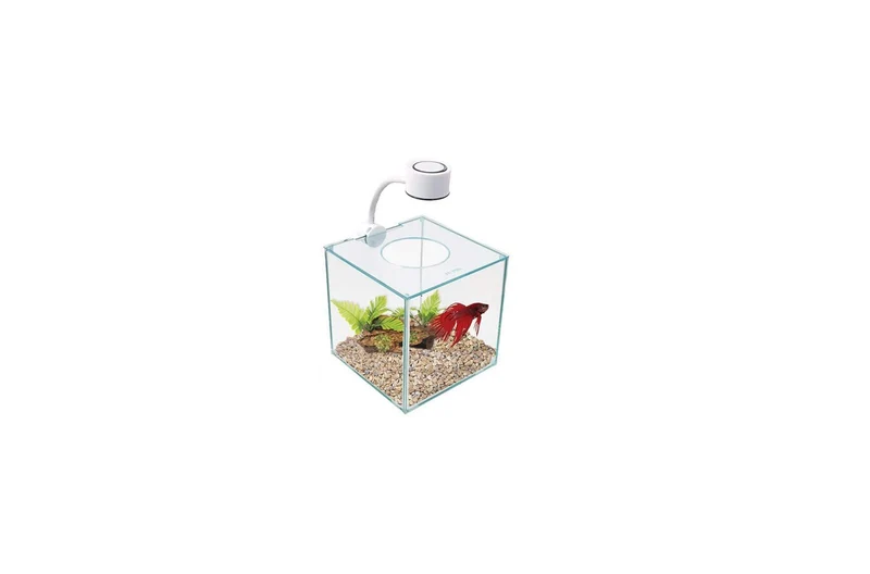 Marina CUBUS Kit Betta en Verre — Aquarium élégant pour maison et bureau