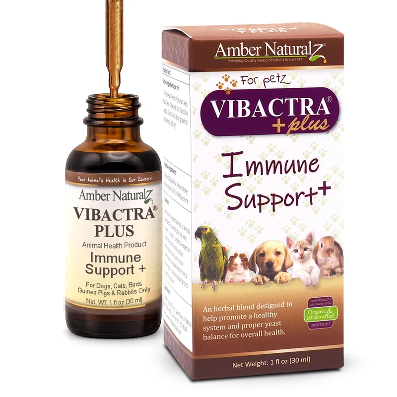 AMBER NATURALZ Vibactra Plus – Complément à base de plantes pour chiens, chats, oiseaux, cochons d’Inde et lapins | Soutien immunitaire et équilibre de la levure | Flacon verre 1oz
