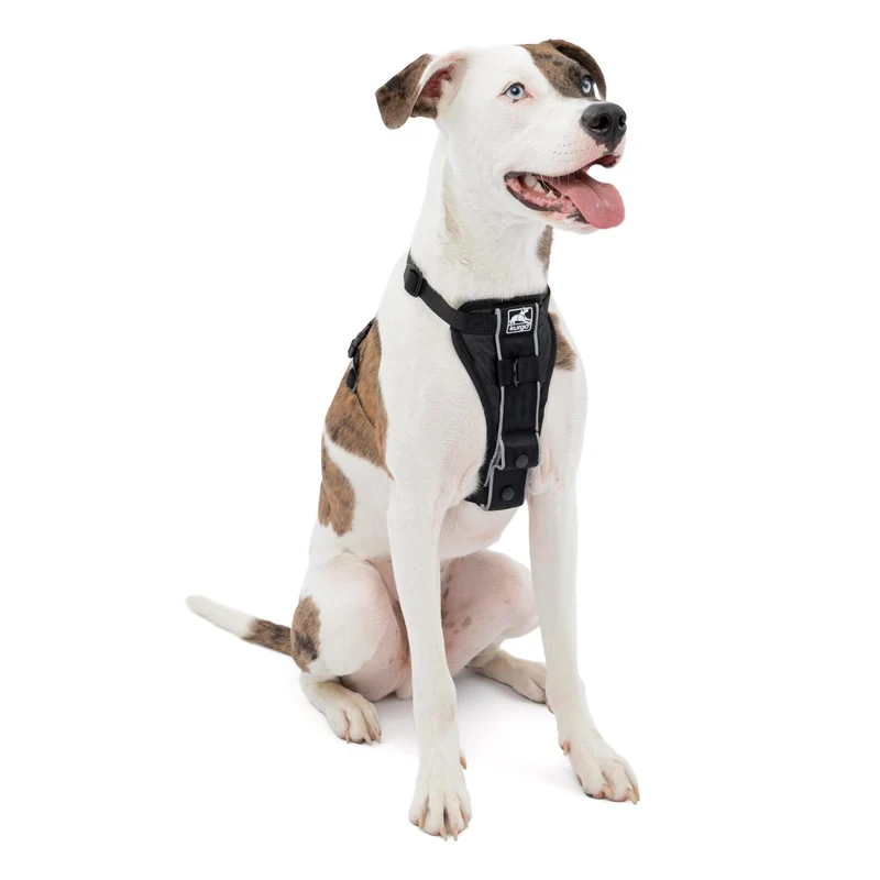 Kurgo Tru-Fit Harnais pour Chien — Confortable, Facile à Mettre, Réfléchissant et Ajustable | Noir, Taille Moyenne