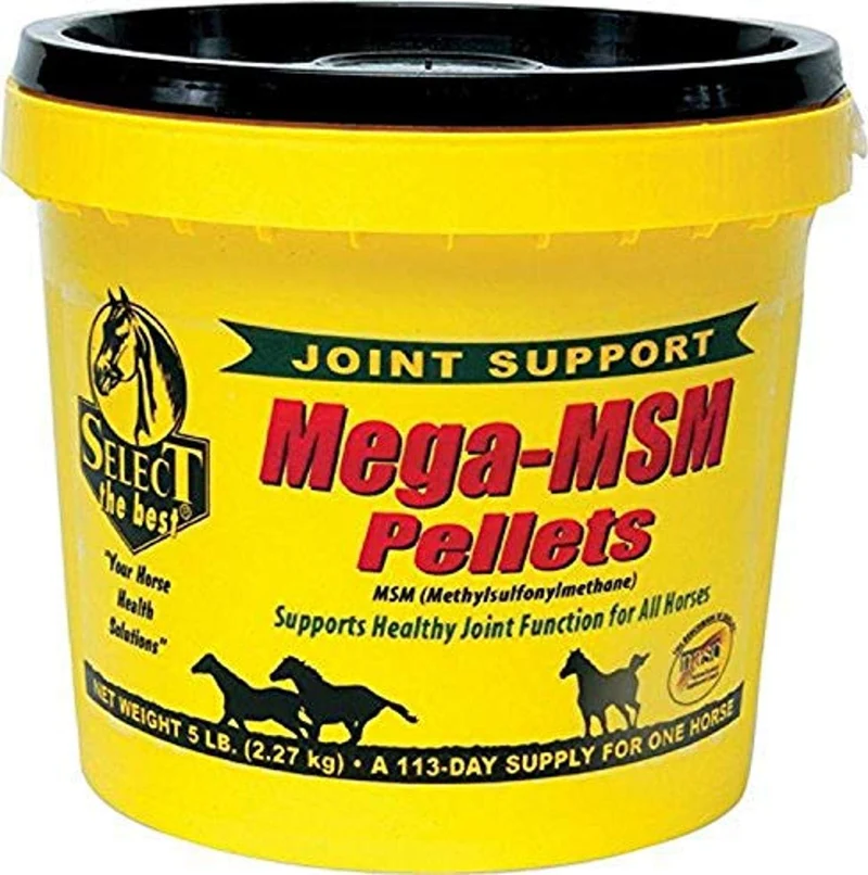 RICHDEL MegaMSM Pellets pour chevaux – 5,6 lb | Select the Best
