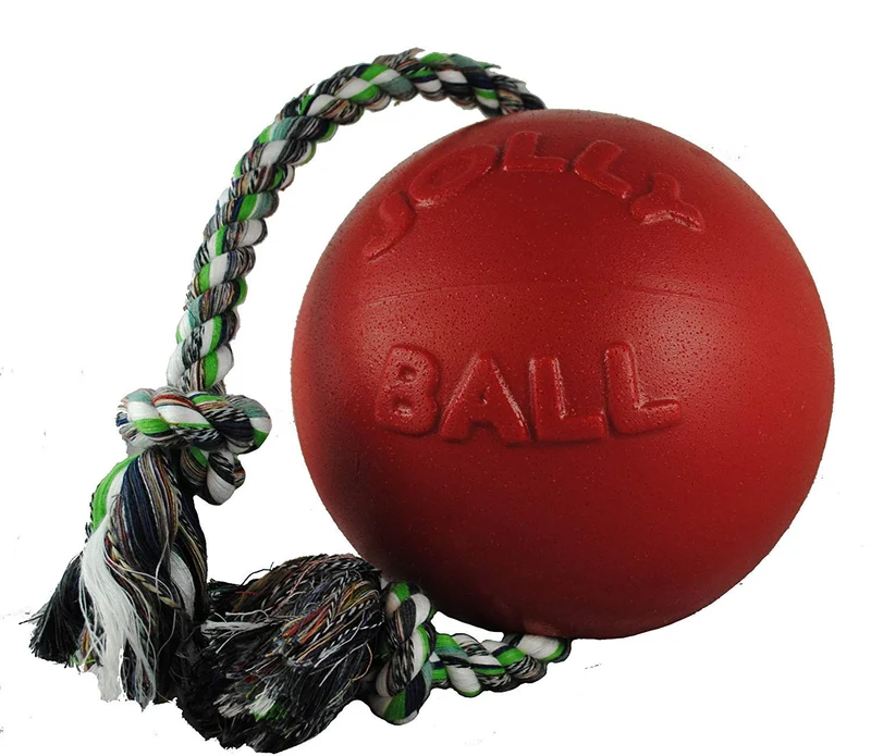 Jolly Pets Romp-n-Roll : Jouet pour chien 8 pouces, corde et balle rouges