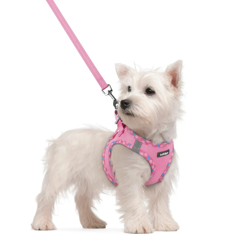 rabbitgoo Harnais à enfiler Petit Chien S – Mesh Respirant + Laisse Rose