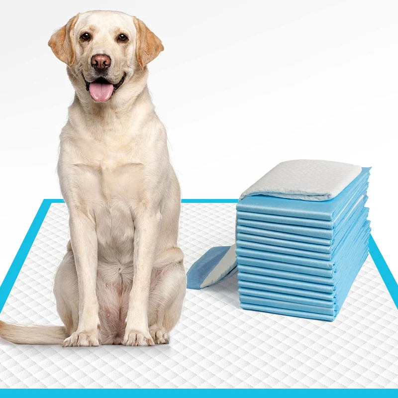 IMMCUTE Tapis Potty XL 28x34 – Ultra Absorbants et Anti-Fuites pour Chiens et Chiots