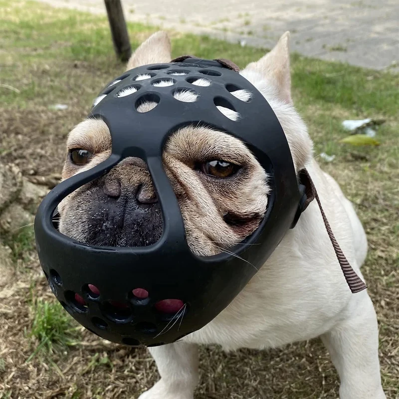 BARKLESS Muzzle Court Silicone Doux – Museau Plat, Pour Bouledogue Français, Shih Tzu et Pug