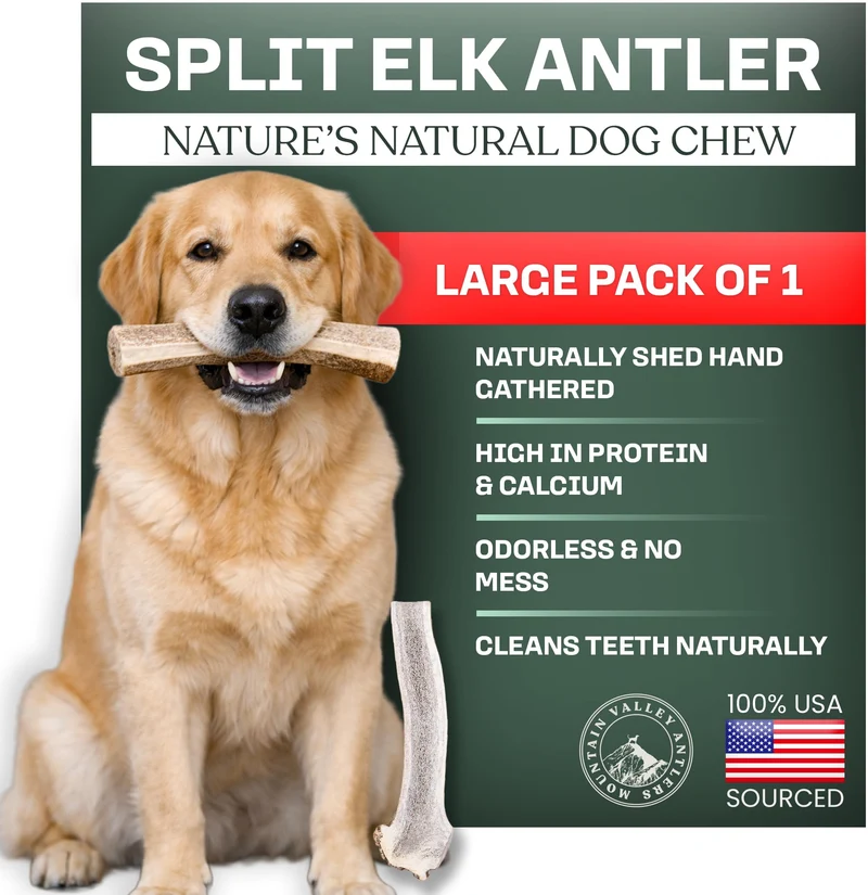 Mountain Valley Bois d'Élan pour Chiens – 100% Naturel et Sans Odeur | Mastication Durable