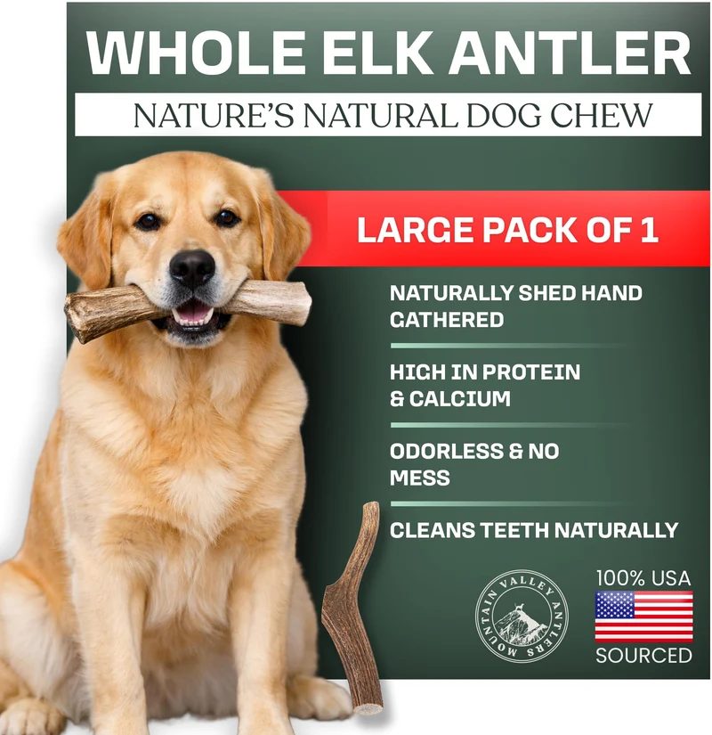 Mountain Valley Antlers – Corne d’élan pour chiens, Mâche 100% naturelle et biologique, Sans odeur, Longue durée – USA