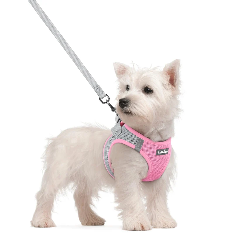 Harnais Rabbitgoo pour Chien Petit (S) – Rose & Gris avec Laisse, Enfilage Facile, Maille Respirante